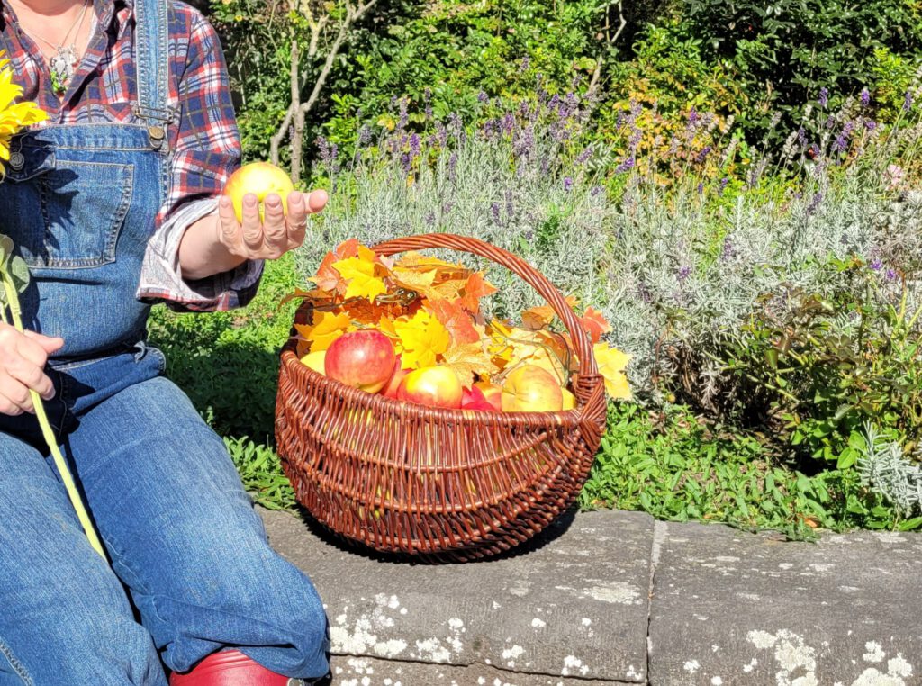 ZIN verteilt frische Äpfel